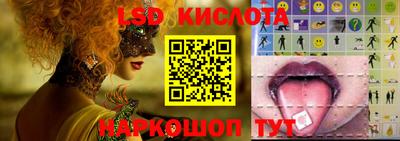хмурый Сланцы