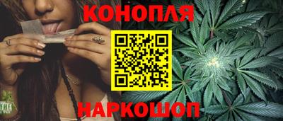 хмурый Сланцы
