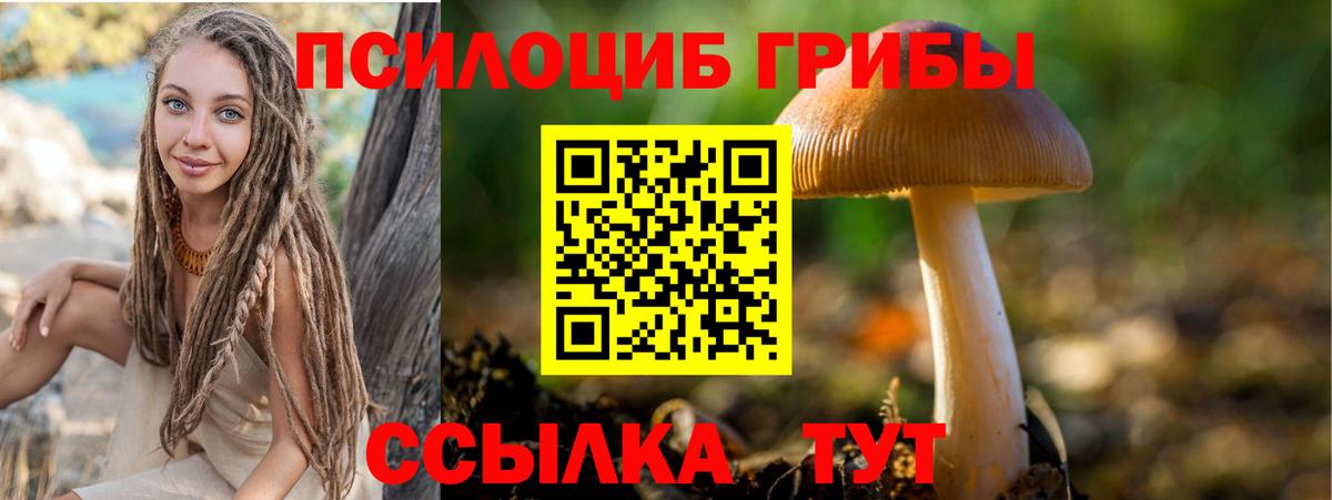 Галлюциногенные грибы прущие грибы  Вход с VPN  наркота  Омск 